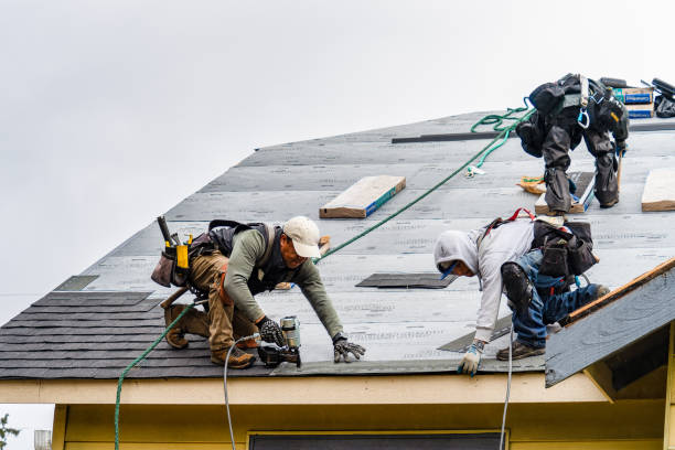 Professional Gutter Installation technician working in Athens, GA